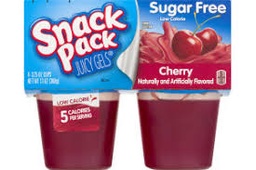 [2536] SNACK PACK CHERRY 3.25oz