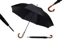 [12824] PARAGUA MANGO CURVO