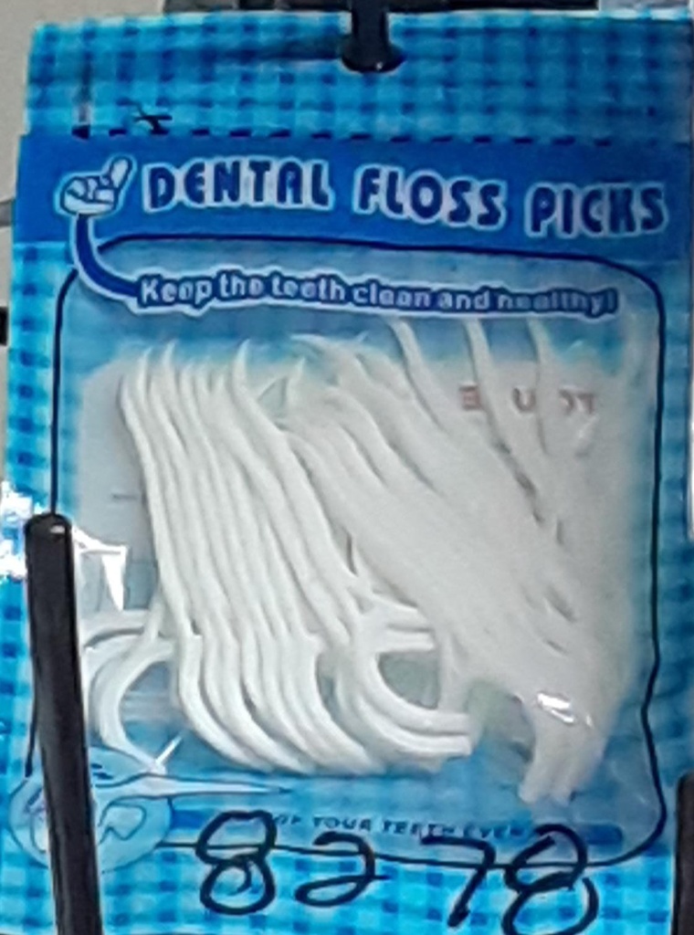 DENTAL FLOSS PICKS            
