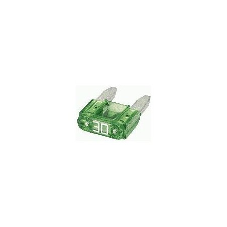 FUSIBLES MINI 30amp           