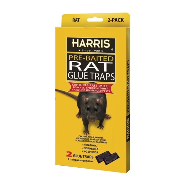 HARRIS RAT GLUE PQT/2         