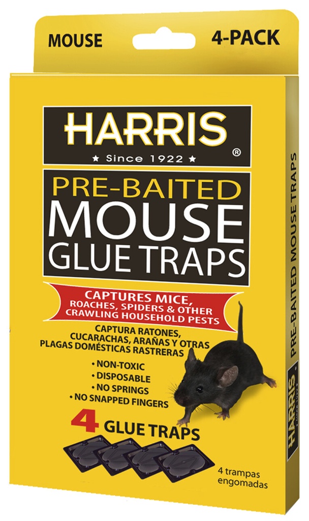 HARRIS RAT GLUE PQT/4         