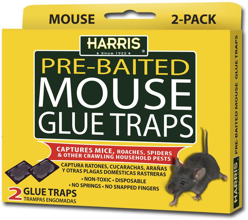 HARRIS RAT GLUE TRAP 2/PACK   