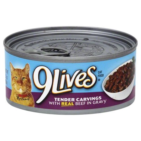 HEARTY CUTS BEEF GRAVY 5.5oz  