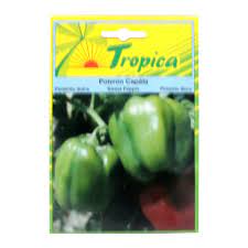 OCHOA SEMILLAS DE PIMIENTO 14g