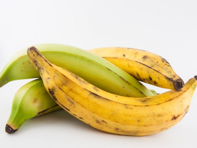 PLATANOS VERDES O MADUROS GDE 