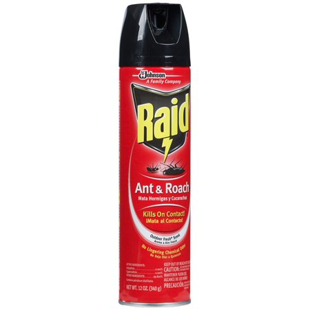 RAID ANT & ROACH 12oz         