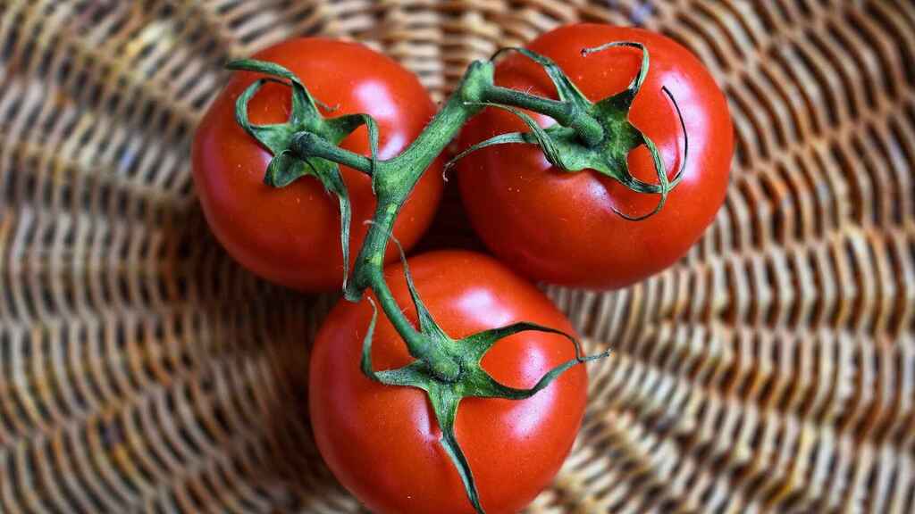 TOMATES EN BOLSAS PQT 3       
