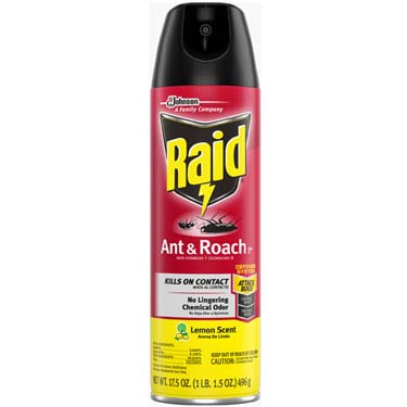 RAID ANT & ROACH 17.5oz