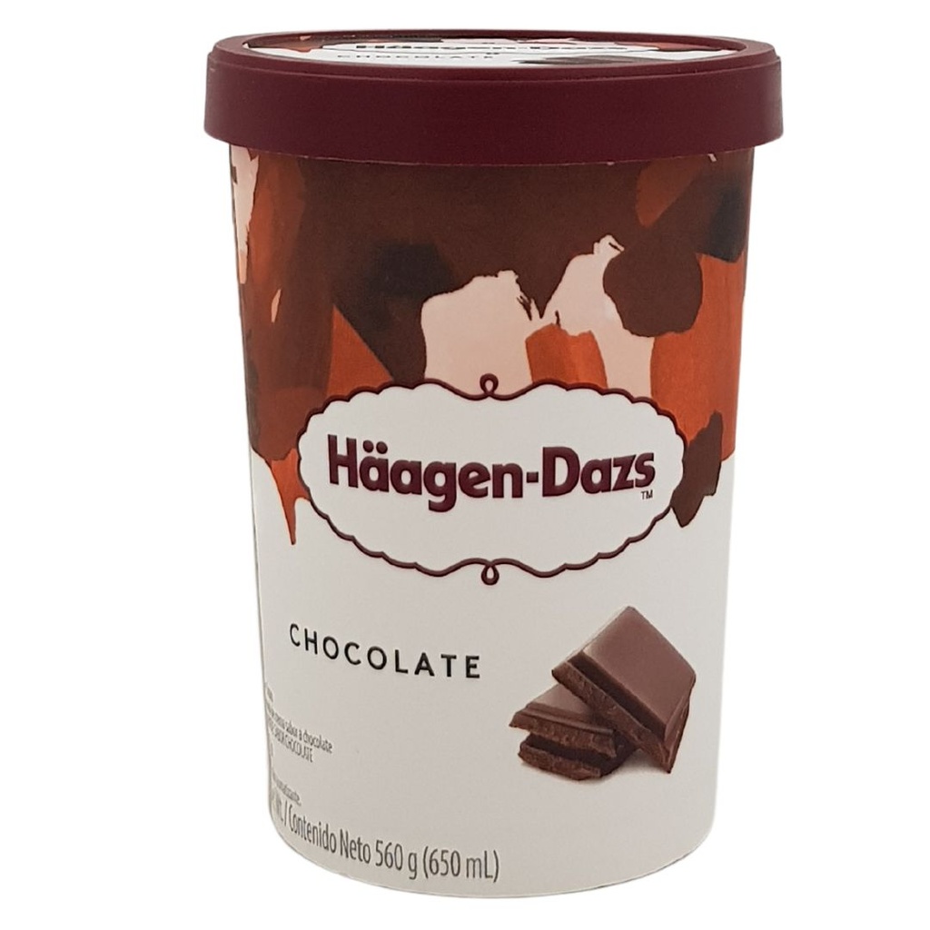 HAAGEN DAZS CHOCOLATE 560g