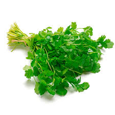 RECAO FINO FRESCO MASO CILANTRILLO