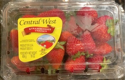 [9221] FRESAS CENTRAL WEST 16oz      