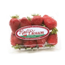 [11662] FRESAS RED BLOSSOM 1LB        