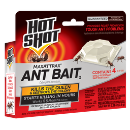 [10815] HOT SHOT ANT BAIT 4pq         