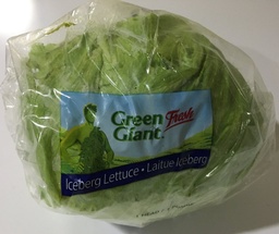 [12079] LECHUGA GREEN GIANT           