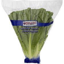 [4536] LECHUGA ICEBERG 1 HEAD        