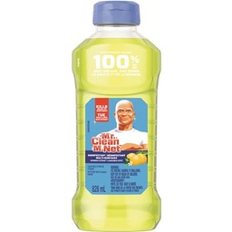 [11152] MR CLEAN ANTIBACTERIAL        