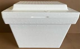 [11484] NEVERITA DE FOAM              