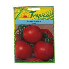 [7269] OCHOA SEMILLAS D TOMATE 12g   