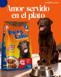 [634] PETS LIKE ADUL ARROZ CON POLLO 3.3lb         