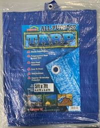 [10331] TOLDO 5pies X 7pies           