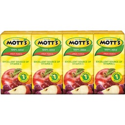 [14531] MOTTS MINI F.PUNCH 4pack
