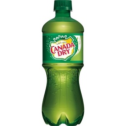 [1335] CANADA DRY GINGER ALE 20 OZ   