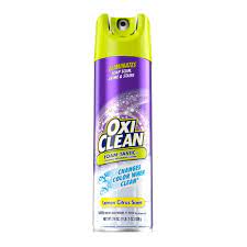 [1095] OXI CLEAN FOAM-TASTIC 19oz